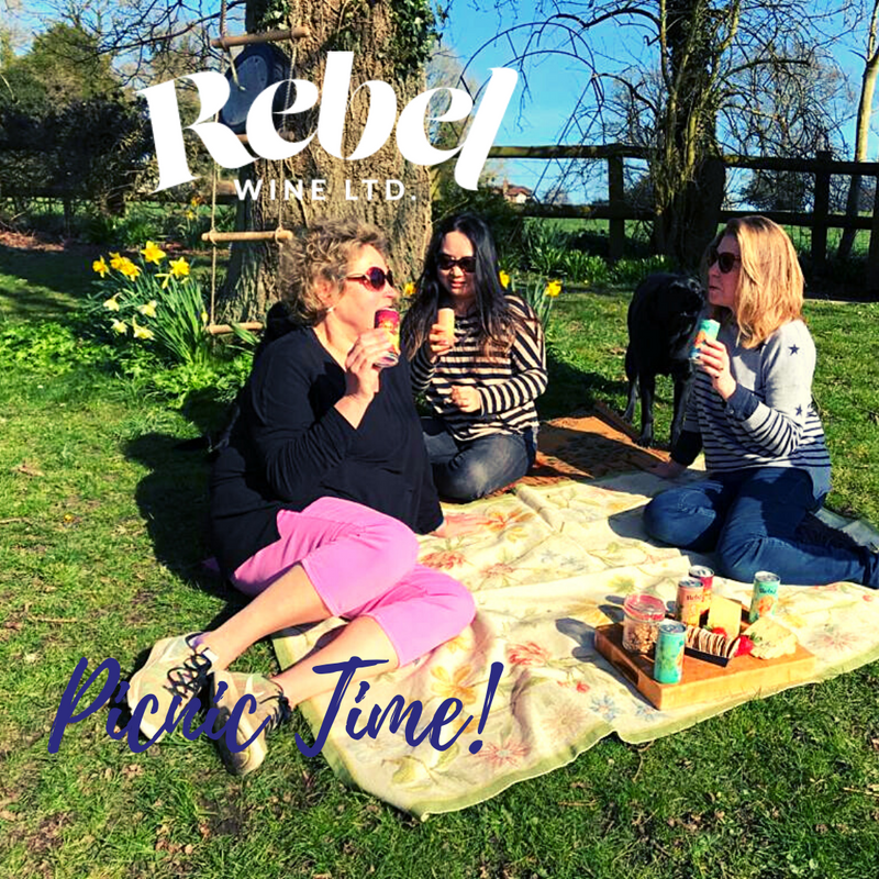 Picnic time at Rebel Towers! Its Tinnies all the way!