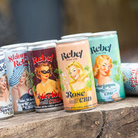 Variety Pack - 12 pre-selected cans